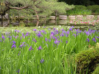 s-DSCN5895.jpg
