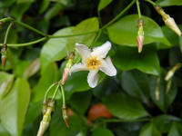 s-DSCN5913.jpg