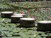 s-DSCN5935.jpg
