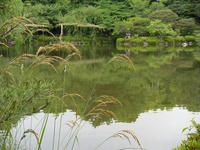 s-DSCN5998.jpg