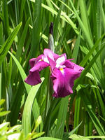 s-DSCN6014.jpg