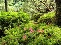 s-DSCN6018.jpg