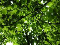 s-DSCN6109.jpg
