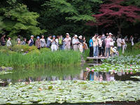 s-DSCN6114.jpg