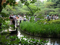 s-DSCN6118.jpg