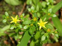 s-DSCN6127.jpg