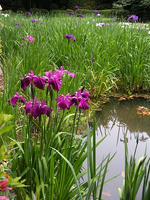s-DSCN6134.jpg