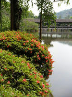 s-DSCN6146.jpg