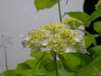 s-DSCN6152.jpg