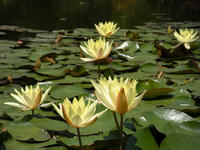 s-DSCN6159.jpg