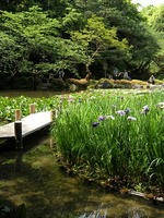 s-DSCN6162.jpg