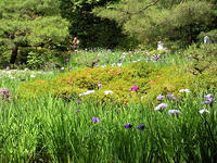 s-DSCN6164.jpg