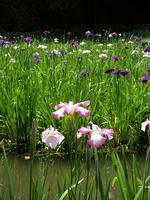 s-DSCN6174.jpg