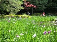 s-DSCN6175.jpg