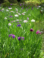 s-DSCN6177.jpg