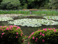 s-DSCN6188.jpg