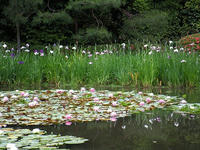 s-DSCN6190.jpg