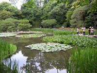 s-DSCN6192.jpg
