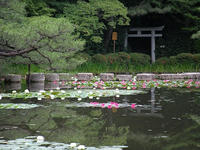 s-DSCN6194.jpg