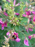s-DSCN6198.jpg