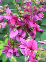 s-DSCN6201.jpg