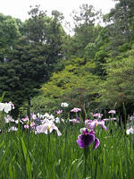 s-DSCN6205.jpg