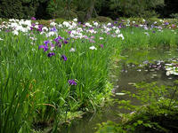 s-DSCN6206.jpg