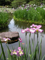 s-DSCN6208.jpg
