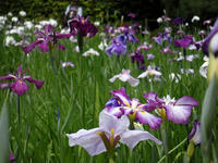s-DSCN6215.jpg