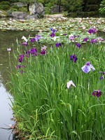s-DSCN6216.jpg