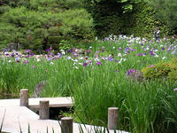 s-DSCN6217.jpg