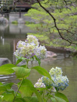 s-DSCN6224.jpg
