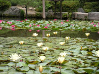 s-DSCN6233.jpg