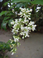 s-DSCN6255.jpg