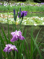 s-DSCN6281.jpg