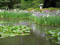 s-DSCN6292.jpg