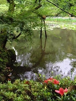 s-DSCN6298.jpg