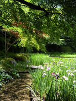 s-DSCN6314.jpg