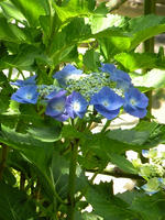 s-DSCN6324.jpg