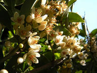 s-DSCN6330.jpg