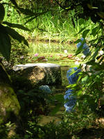 s-DSCN6334.jpg