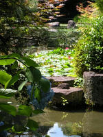 s-DSCN6335.jpg