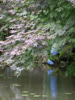 s-DSCN6345.jpg