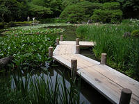 s-DSCN6348.jpg