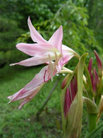 s-DSCN6360.jpg