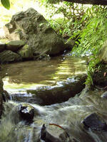 s-DSCN6462.jpg
