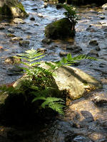 s-DSCN6476.jpg