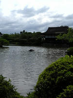 s-DSCN6534.jpg