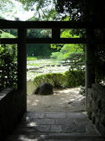 s-DSCN6536.jpg