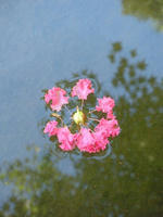 s-DSCN6626.jpg